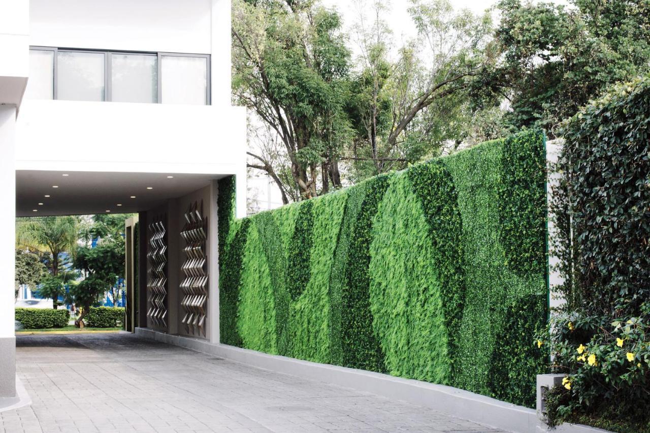 Aurea Hotel And Suites Zapopan Exterior photo